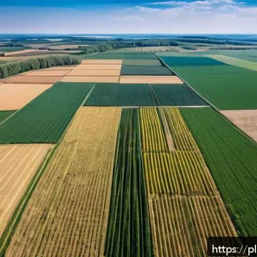 Home 30 대체 플라스틱 소재의 환경 비용 분석 - A detailed aerial view of a large agricultural landscape in Poland featuring vast monoculture fields...
