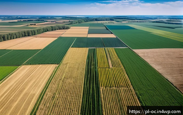 대체 플라스틱 소재의 환경 비용 분석 - A detailed aerial view of a large agricultural landscape in Poland featuring vast monoculture fields...